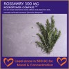 Rosemary 500mg 120 Capsules (V) not Tablets Rosmarinus Officinalis Nooropower-Compass