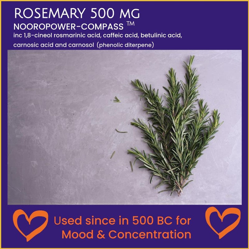 Rosemary 500mg 120 Capsules (V) not Tablets Rosmarinus Officinalis Nooropower-Compass
