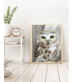 QAZWSX Owl Diamond Painting Kits for Adults, DIY Animal Diamond Art for Kids and Adults, Round Diamond Art, Full Drill Owl 5D Diamond Dots Home Wall Decor 12 X 16