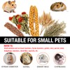 SanmooAio Hamster Natural Flower & Herb Bedding,Habitat Decor Sprays Set