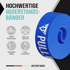 Pullup & Dip Fitness Bands, Resistance Bands with Bag, Door Anchor and Exercise Guide – Single and Economical Set, Pull-Up Band, Fitness Band for Calisthenics, Cross-fit and Fitness