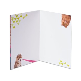 American Greetings Funny Blank Card (Outer Space Laser Cats)