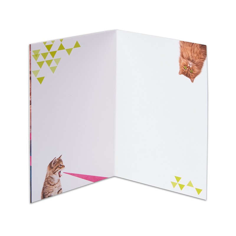 American Greetings Funny Blank Card (Outer Space Laser Cats)