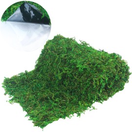 ACRYCS Moss Roll Moss Table Runner Dried Moss Mat for Crafts 12" x 71" Green Moss Roll for Fairy Gardens Wedding Woodland Decor Preserved Moss Mat for Table Decoration Moss Carpet for Wall 30x180 cm