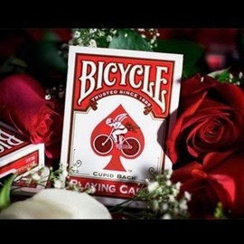 Bicycle Vintage Love – Back/Red