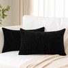 JOTOM Set of 2 Cushion Covers 30x50 cm Soft Chenille