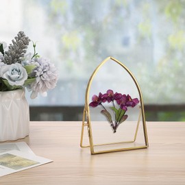 JUXYES 4x6 Inch Tabletop Double Glass Frame for Pressed Flowers, 3 Pack Glass Desktop Picture Artwork Display Frames, Brass Floating Frame Style for Dried Flowers Photo Picture Poster etc