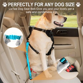 LivTee Dog Seat Belt for Car, Retractable Pet Safety Harness, Adjustable Nylon Dog Seatbelt Leash, Comfortable Dog Accessories for Vehicles (Teal-1PCS)