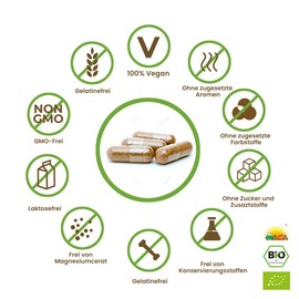 Maca Fit Red 300 Vegan Capsules Original from Peru, Junin Bombon Certified, Pure Red Maca Powder, Pure Vegetable without Additives