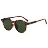 LJCZKA Retro Small Round Sunglasses for Women Men Classic Tinted