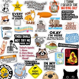 123PCS Funny Stickers for Adults, No-Repeat Meme Stickers Pack for Water BottleWaterproof Cool Stickers for Laptop, Bumper, Phone, Hard Hats, Wall, Window Decals Decors