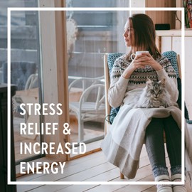 New Chapter Holy Basil Force with Supercritical Holy Basil for Immune Support + Mood Support + Non-GMO Ingredients - 60 ct Vegetarian Capsules