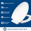 Mayfair Ashton Easy to Clean Single Hinge Toilet Seat, Modern