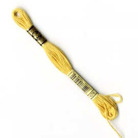 DMC Stranded Cotton Number 676