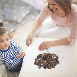 Gatuida Natural Magnetic Lodestones Specimens - 500g for Science Education, Classroom Experiments, Collecting, and Magnetism Exploration