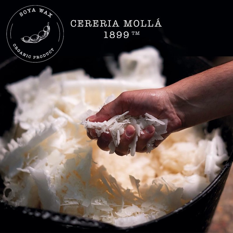 cerería mollá Boutique – Kerze in Glas, pflanzliches Wachs, Duft