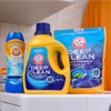 Arm & Hammer ARM & HAMMER Deep Clean Stain Formula,