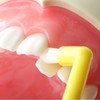 One Taft Brush, Oral Care for Dentistry Use, Medium Medium