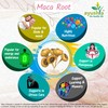 Maca Root Extract Capsule