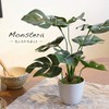 Kobe Flower Story MH-1003 Faux Green Mini Monstera Pot, Height