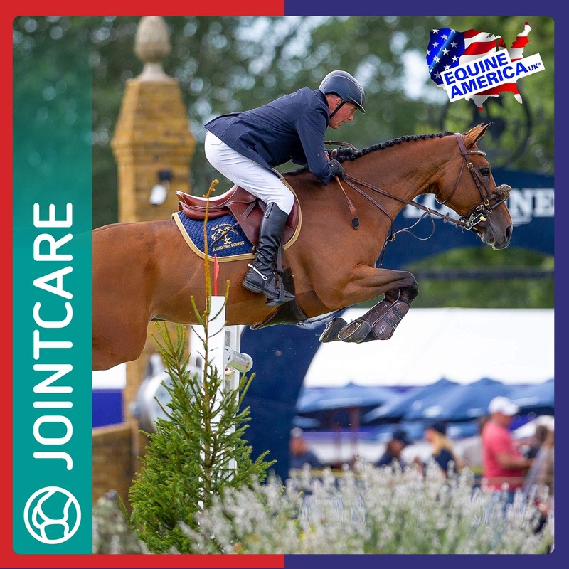 Equine America Buteless Original High Strength Powder | Premium Ready