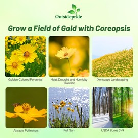 Outsidepride Lance-leaved Coreopsis Seeds - 5 lbs. Perennial, Humidity & Drought Tolerant Flower Seeds for Planting Clumping Vibrant Golden Blooms, Ideal for Xeriscaping and Low Maintenance Gardens