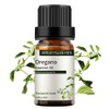 Oregano Essential Oil 10ml, 100% Pure Organic Diffuser Oils for
