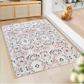 WL&ALLEN Door Mat Entry Rug Washable Mat Indoor Entrance 2x3 Non-Slip,Laundry Room Rug, SoftRug(2'x3',Beige)