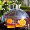 Hummingbird Feeders for Outdoors Hanging Bird Feeder with 8 Feeding