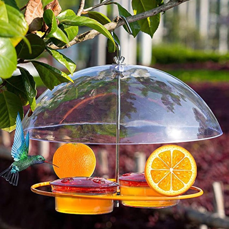 Hummingbird Feeders for Outdoors Hanging Bird Feeder with 8 Feeding