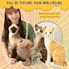BARMI Siamese Cat Plush Stuffed Animal - Lifelike Cat Pillow,