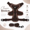 Cat Harness and Leash Set for Indoor Cats & Small