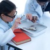 Anatomy Lab Grass Frog Specimen for Dissection, for Biology Classrooms,