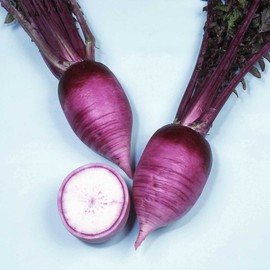 Hot Radish Seeds - AKA Karaine - Hybrid - 1 g Packet ~115 Seeds - Non-GMO, F1 Hybrid - Asian Garden Vegetable