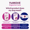 2 Pack of YuMove Digestive Rapid Paste 60ml
