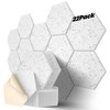 Dailycooper 22 Pack Self-adhesive Acoustic Panels 12" X 10" X