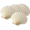 Scallop Shells (6 x Large 10-13cm sized Scallop Shell)