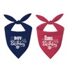 2 Pack Dog Birthday Bandana, Boy Girl Triangle Scarf for