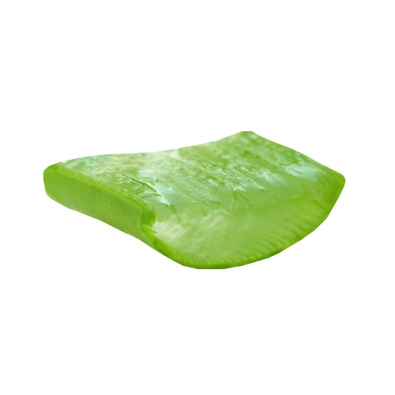 Vonderweid - AloeGel, Moisturizing Aloe Arborescens Gel, 100 ml