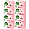 Dettol Antibacterial Soap Skin Care 100g 8pcs Dettol Antibacterial Soap