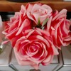 Cote Noire-Five Roses in Clear and White Peach