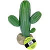 Multi Pet 48593324: Komodo Cactus Plant Saguaro, 9.5In