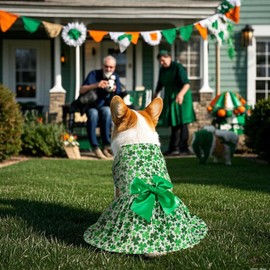 Habbiful Dog St Patricks Day Outfit, Puppy Dog St.Patrick's Day Clothes Shamrock Dog Skirt Green Dog Dress Spring Summer Pet Doggie Apparel for Dogs Cats Gifts, M