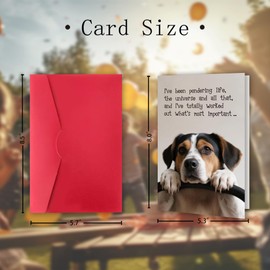 FSSDAS Funny Dog Birthday Card for Man Woman, Dog Lovers Birthday Gifts Card Ideal for Her Him, Suitable for All Ages Bday Cards from Dog, What's Most Important...