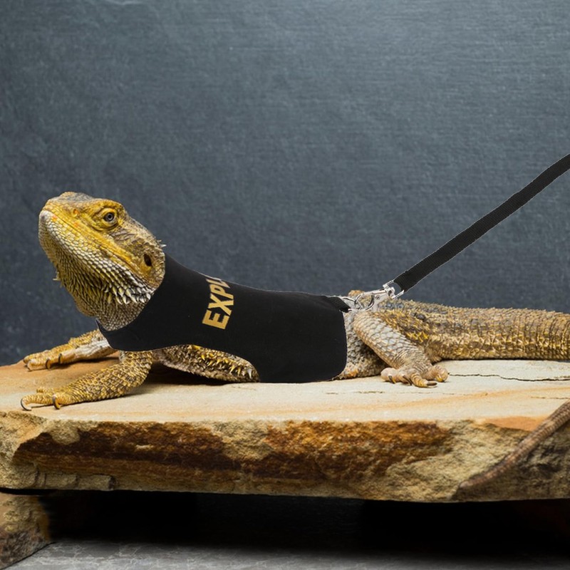 Hypeety Bearded Dragon Harness and Leash Set Adjustable Escape Proof