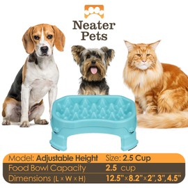 Neater Pet Brands – Neater Raised Slow Feeder Dog Bowl – Elevated and Adjustable Food Height - (2.5 Cup, Aquamarine)