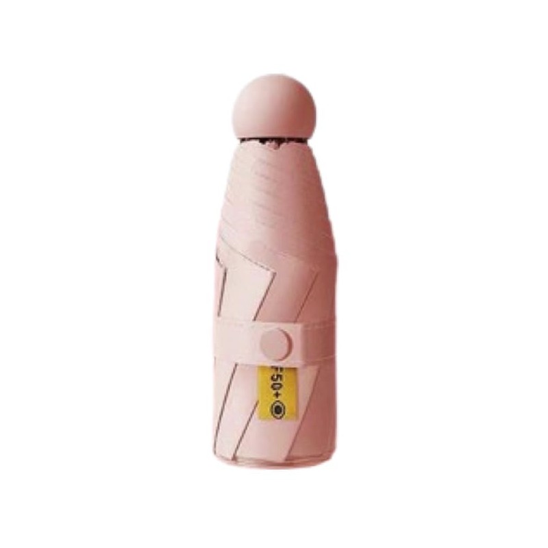 Rainy and Sunshine Folding Umbrella, Pastel Colors, Includes an Omakori