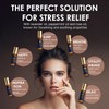SALUBRITO Essential Oils Set, Roll On Essential Oil Blends Set,
