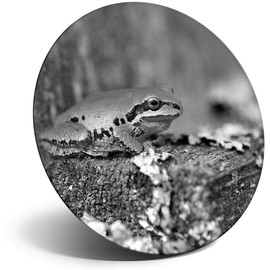 Destination Vinyl ltd Magnet for Refrigerator, Fridge BW - Cute Frogs Nature for Office, Cabinet and Whiteboard, Magnetic Stickers, 41570