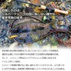 Daiwa Trout Silver Creek Minnow Yamame 44S Lure